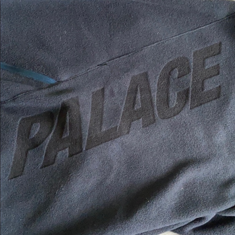 Palace Polartec Shorts
